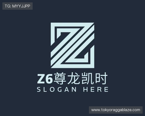 认识z6尊龙凯时